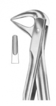  Fig. 74 lower roots 